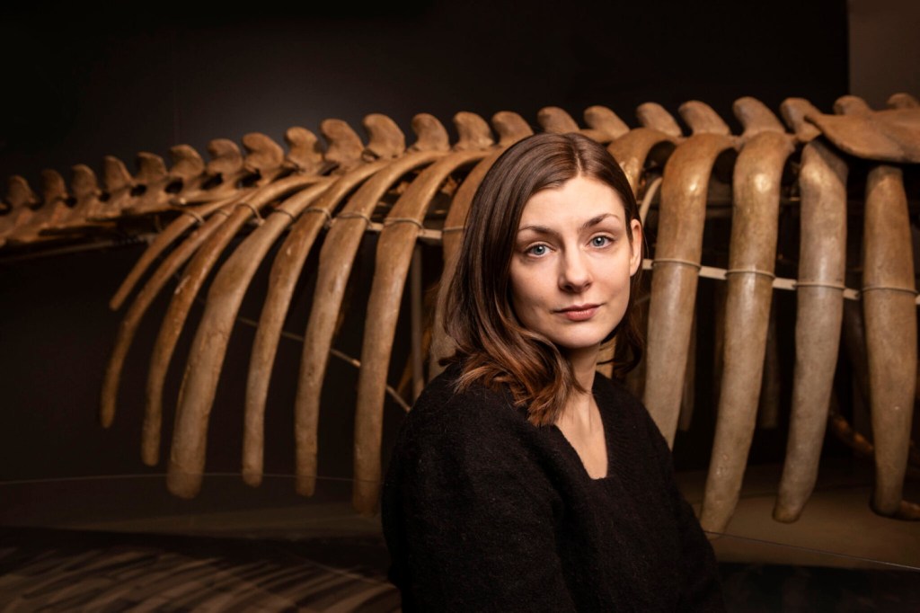 Denizin çağrısına kulak vermek: Deniz Canavarları / Abdullah&nbsp;Ezik