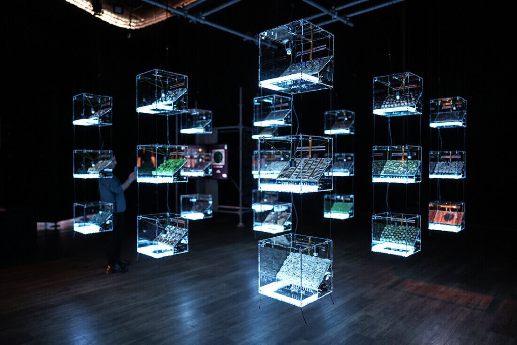 Medya Sanatı Festivali “Ars Electronica”&nbsp;başladı