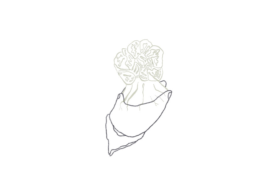 Berna Ay’ın “Bugün Nasıl Uyandım?” sergisi Eldem Sanat Alanı |&nbsp;Fırın’da